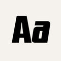 WT Skrappa – Reasonable + Italic